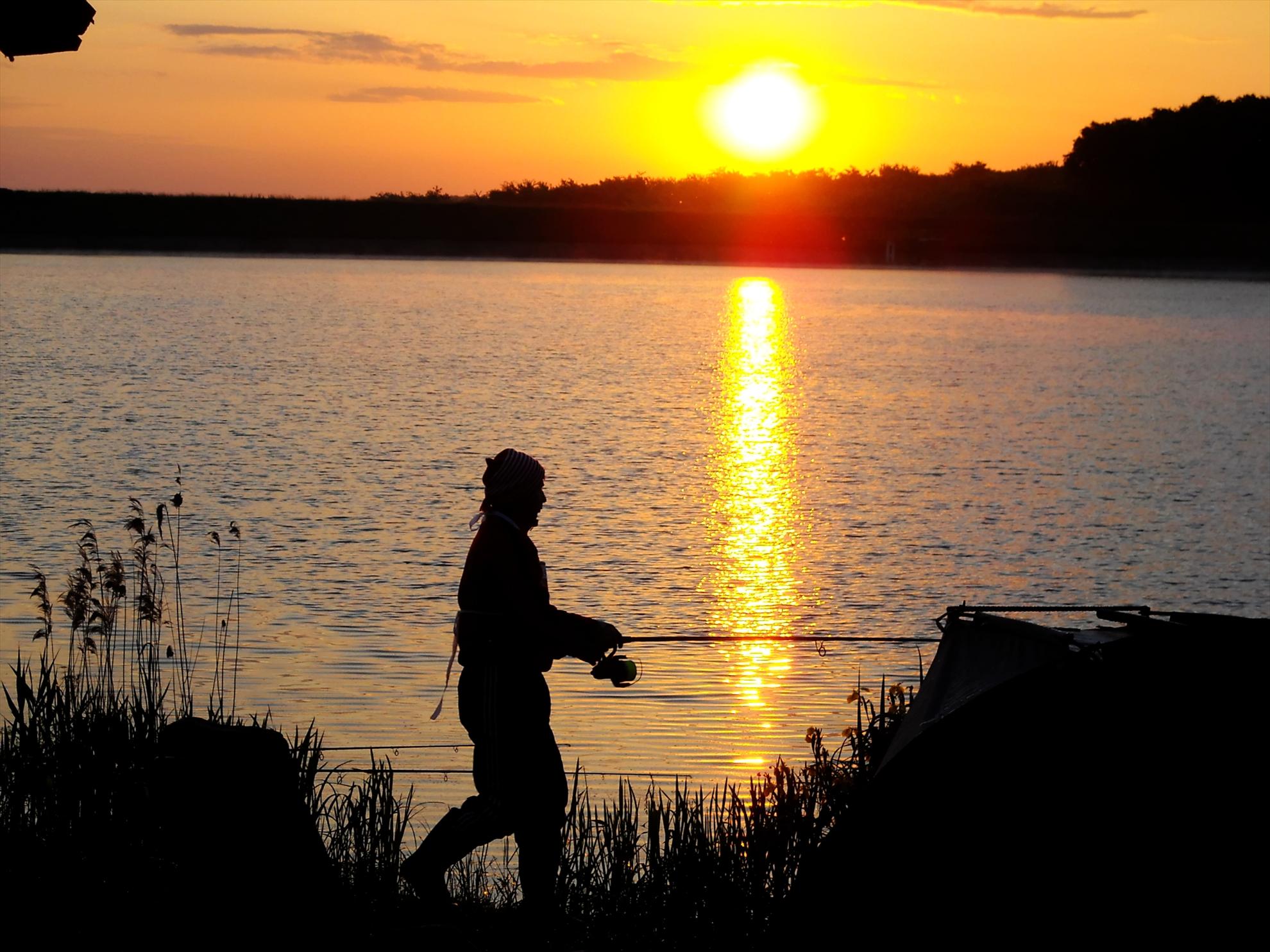 Best-2010 - dscn3660compressor.jpg